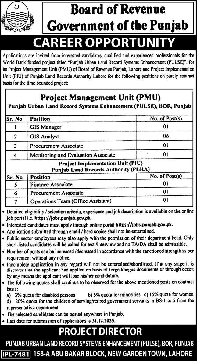 PULSE Punjab Urban Land Systems Enhancement Jobs 2026 – Revenue Department Punjab Jobs 2025 — original advertisement