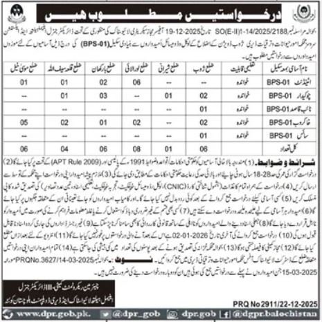 Animal Health Livestock & Dairy Zhob Division Jobs 2026 – Livestock and Dairy Development Department Balochistan Jobs 2025 — original advertisement