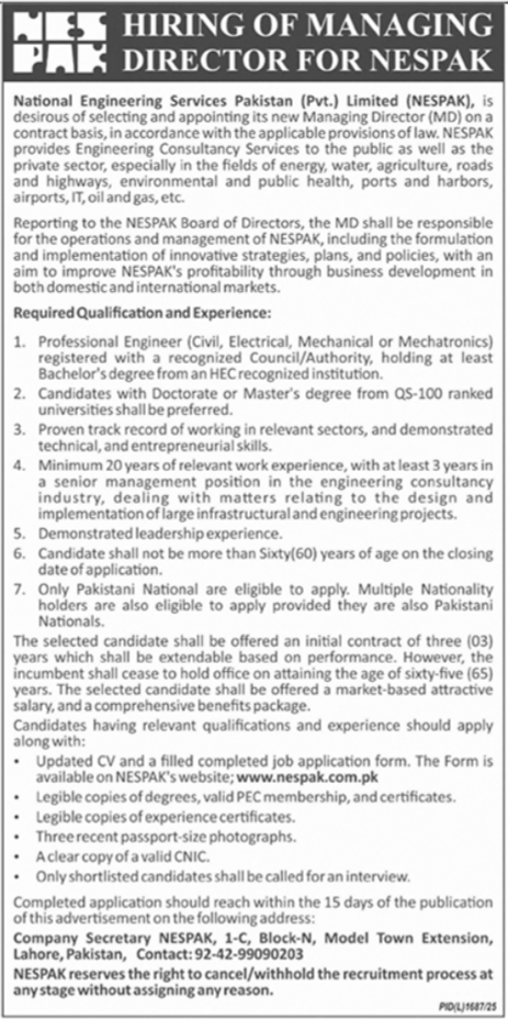 National Engineering Services Pakistan NESPAK Lahore Job – NESPAK National Engineering Services Pakistan Jobs 2025 — original advertisement