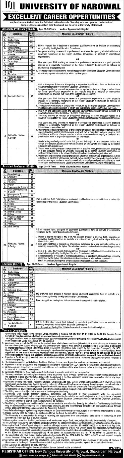 University of Narowal Punjab Jobs 2026 Jobs 2025 — original advertisement