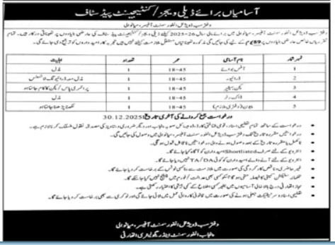 Punjab Enforcement & Regulatory Authority PERA Jobs 2026 – Punjab Energy Efficiency & Conservation Agency - PEECA Jobs 2025 — original advertisement