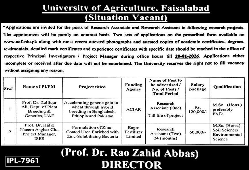 University Of Agriculture Faisalabad UAF Jobs 2026 Jobs 2025 — original advertisement
