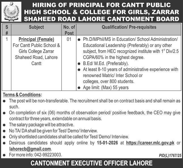 Cantt Public High School & College For Girls Jobs 2026 – Cant Public High School & Girls College Jobs 2025 — original advertisement
