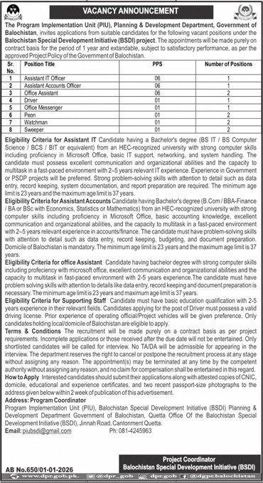 Balochistan Special Development Initiative BSDI Project Jobs – Public Sector Organization Jobs 2026 — original advertisement