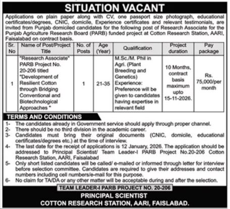 Cotton Research Station AARI Faisalabad Jobs 2026 – Central Cotton Research Institute Multan Jobs 2026 — original advertisement