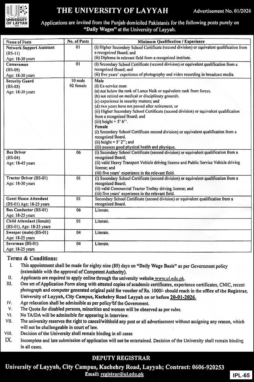 The University Of Layyah Jobs 2026 Network Support Assistant Jobs 2026 — original advertisement