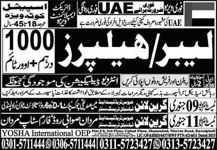 Labour And Helper Jobs in United Arab Emerities 2026 – Green Line Human Resource Manpower Jobs 2026 — original advertisement