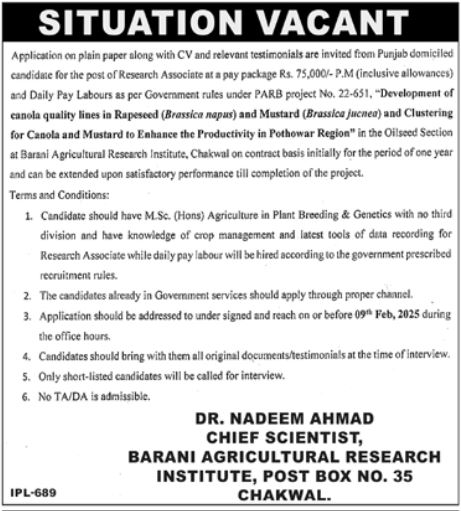 Barani Agricultural Research Institute Chakwal Jobs – Barani Institute of Information Technology Jobs 2026 — original advertisement