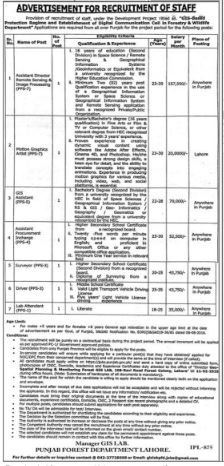 Forestry & Wildlife Department Punjab Jobs 2026 – Forest Wildlife & Fishries Department Punjab Jobs 2026 — original advertisement