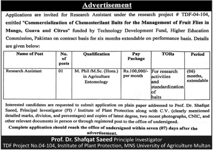 MNS University Of Agriculture Multan Jobs 2026 – MNS-University of Agriculture, Multan. Jobs 2026 — original advertisement