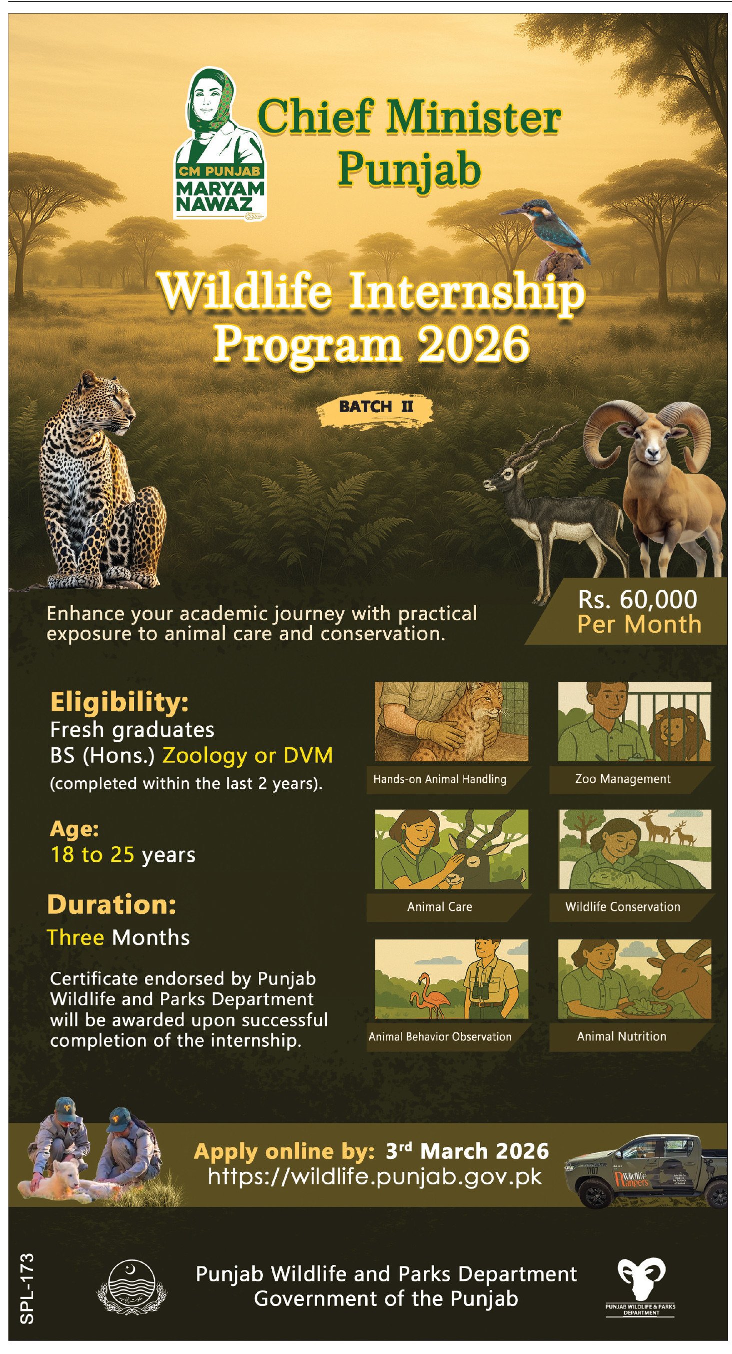 Punjab Wildlife Internship Program 2026 – Forest Wildlife & Fishries Department Punjab Jobs 2026 — original advertisement