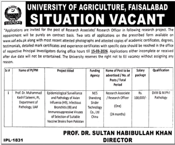 University Of Agriculture UAF Faisalabad Jobs 2026 – University of Agriculture Faisalabad Jobs 2026 — original advertisement