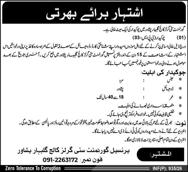 Government City Girls College Gulbahar Peshawar Jobs 2026 – Public Sector Organization Jobs 2026 — original advertisement