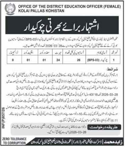 District Education Officer DEO Female Kolai Pallas Jobs 2026 – Elementary & Secondary Education Department KPK Jobs 2026 — original advertisement