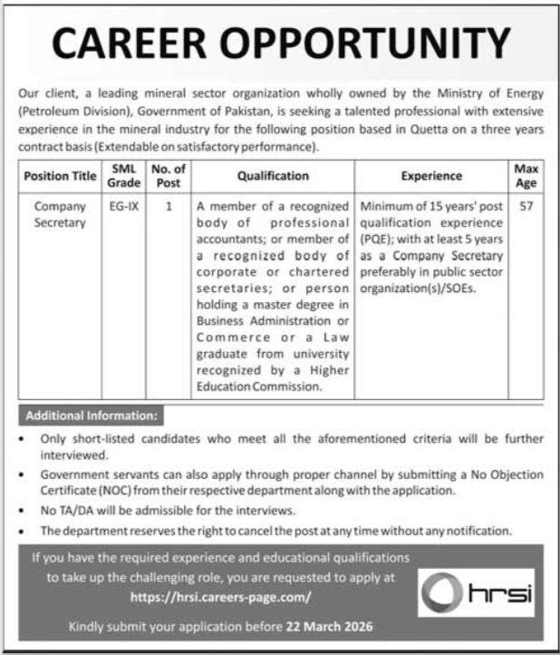 Human Resource Solutions International HRSI Karachi Job – HRSG People and Business karachi Jobs 2026 — original advertisement