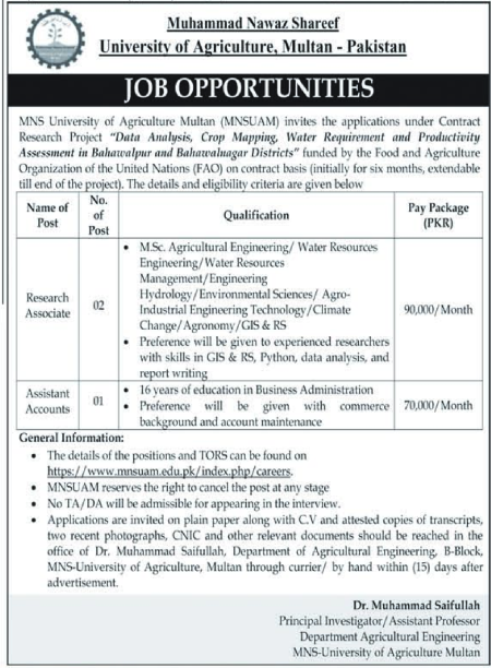 MNS University Of Agriculture Multan Jobs 2026 – MNS-University of Agriculture, Multan. Jobs 2026 — original advertisement