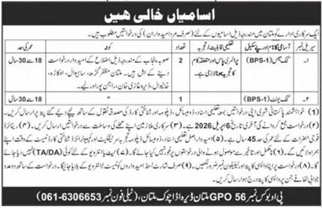 Government Organization Multan Jobs 2026 – Public Sector Organization Jobs 2026 — original advertisement