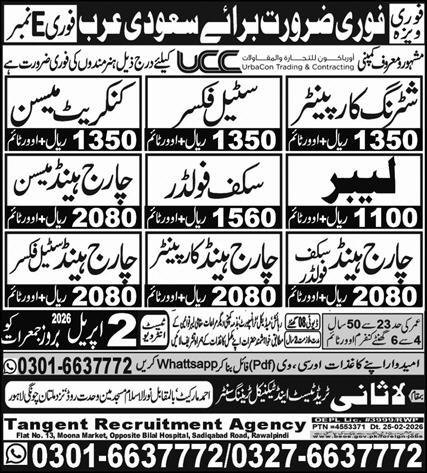 Chargehand Carpenter & Chargehand Scaffolder Jobs 2026 – Lasani Trade Test & Technical Training Center Jobs 2026 — original advertisement