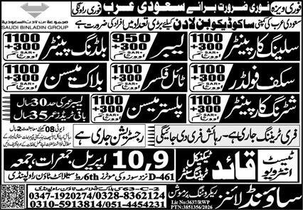 Ceiling Carpenter & Building Painter Jobs 2026 – Sound Lines Recruiting Promotion Jobs 2026 — original advertisement