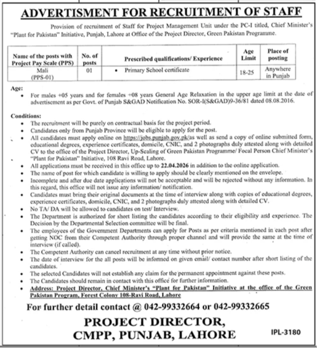 Project Management Unit Lahore Job 2026 – Public Sector Organization Jobs 2026 — original advertisement