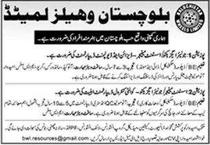 Balochistan Wheel Limited Jobs 2026 – Private Company Jobs 2026 — original advertisement