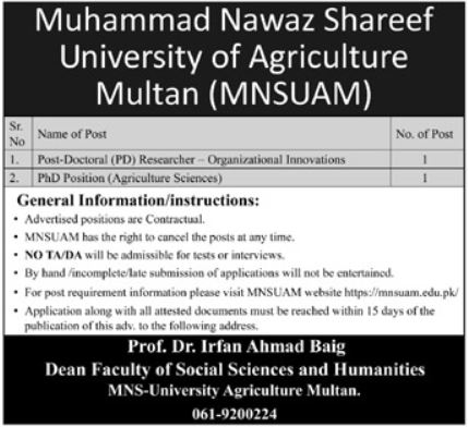 Muhammad Nawaz Shareef University of Agriculture Multan Jobs – Multan University Of Science & Technology Jobs 2026 — original advertisement