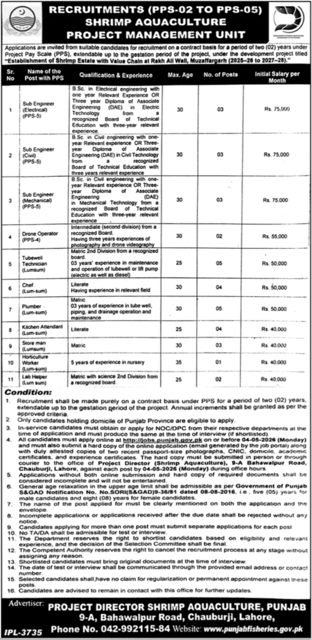Project Management Unit PMU Jobs 2026 – Public Sector Organization Jobs 2026 — original advertisement
