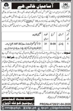 Revenue Department Balochistan Jobs 2026 Jobs 2026 — original advertisement