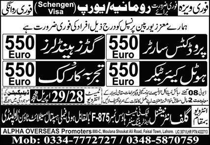 Goods Handler & Cook Jobs 2026 In Romania – Alpha Insurance Company Limited Jobs 2026 — original advertisement