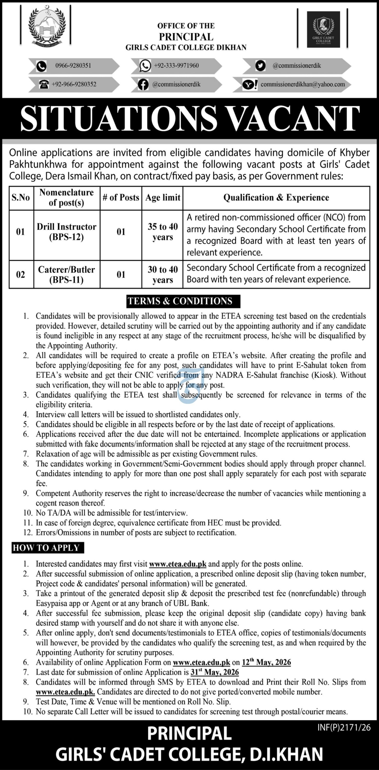 Girls Cadet College Dera ismail Khan Jobs 2026 Jobs 2026 — original advertisement