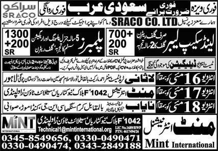 Landscape Labor & Plumber Jobs 2026 In Saudi Arabia – Mint International Manpower Recruitment Jobs 2026 — original advertisement