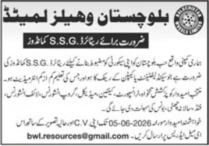 Balochistan Wheel Limited Quetta Jobs 2026 – Private Sector Organization Jobs 2026 — original advertisement