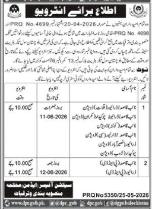 Planning and Development Department Jobs Interview — original advertisement