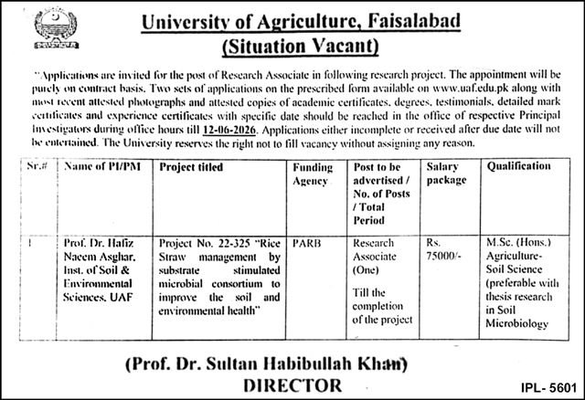 University Of Agriculture UAF Faisalabad Job 2026 — original advertisement