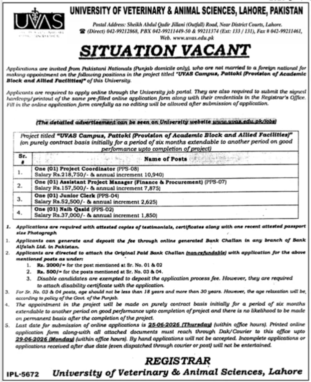 University Of Veterinary & Animal Sciences Lahore Jobs 2026 — original advertisement