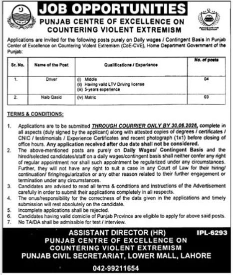 Punjab Centre Of Excellence Jobs 2026 — original advertisement