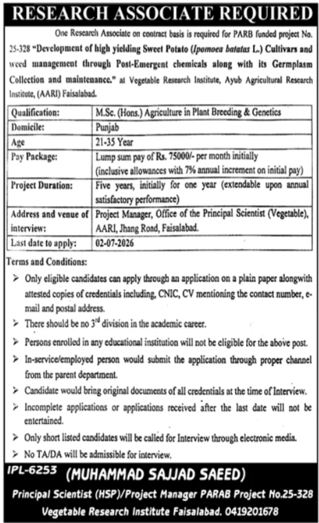 Vegetable Research Institute Faisalabad Job 2026 — original advertisement