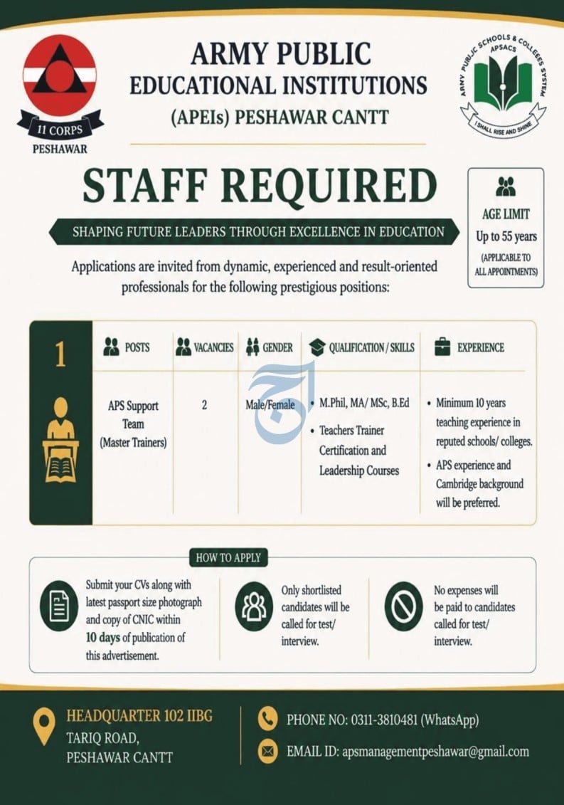 Army Public Schools & Colleges System Jobs 2026 — original advertisement