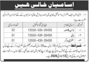 Defence Security Force DSF Dera Ismail Khan Jobs 2026 — original advertisement