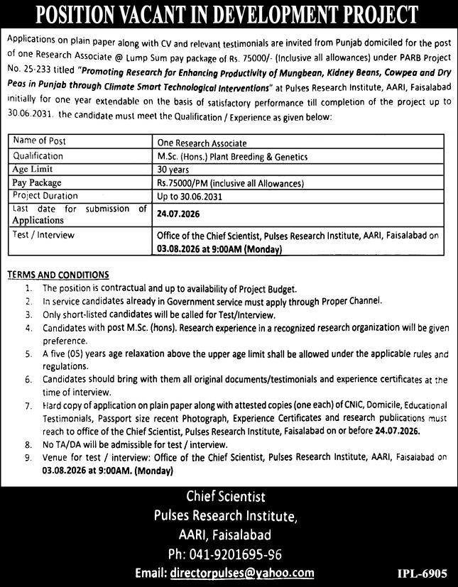 Pulses Research Institute AARI Faisalabad Jobs 2026 — original advertisement