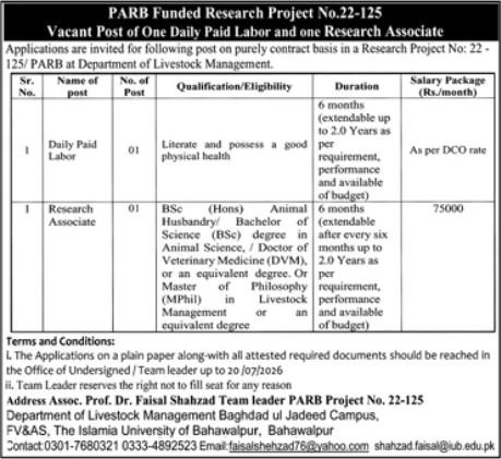 The Islamic University Of Bahawalpur Jobs 2026 — original advertisement