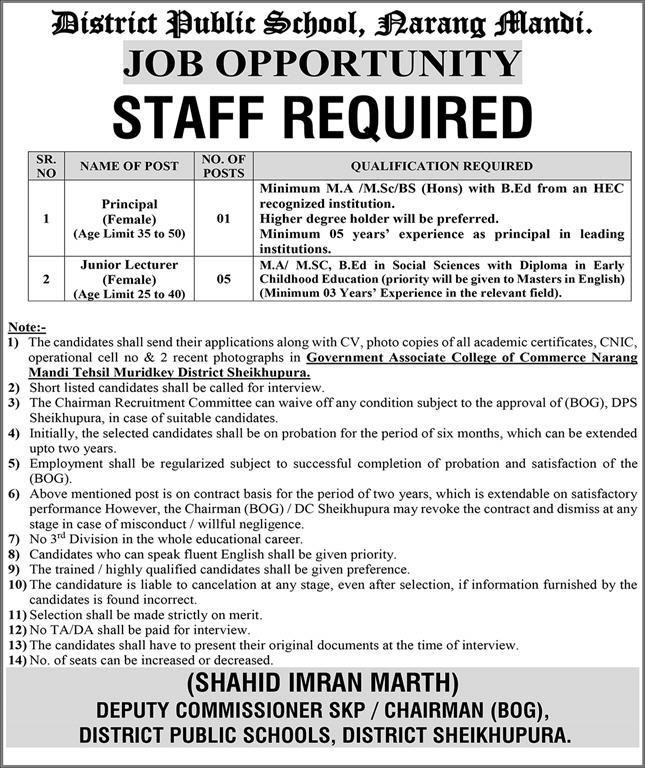 District Public School DPS Narang Mandi Jobs 2026 — original advertisement