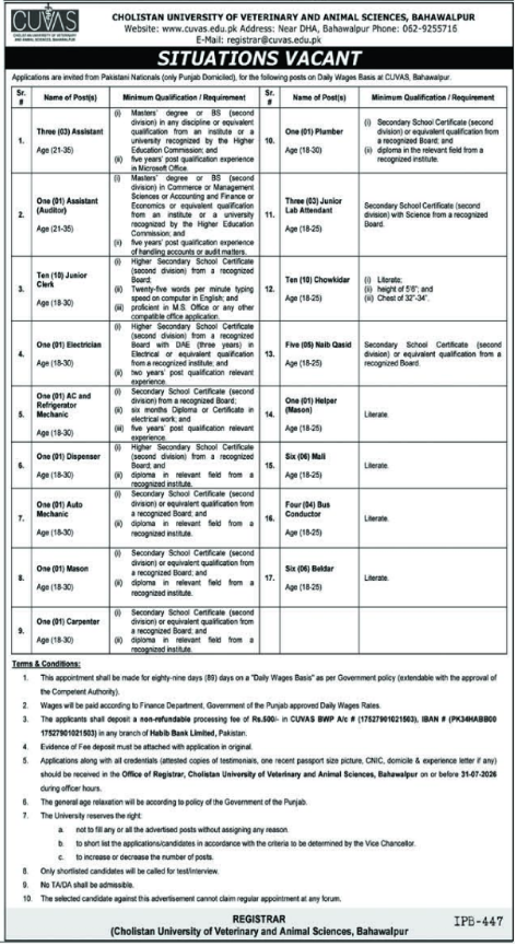 Cholistan University Of Veterinary And Animal Sciences Jobs — original advertisement