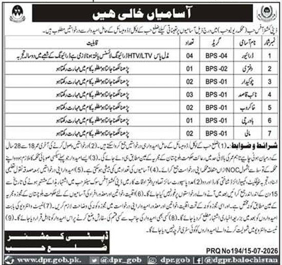 Deputy Commissioner Office Hub Revenue Department Jobs 2026 — original advertisement