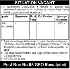 Government Organization Rawalpindi Job 2026 — original advertisement