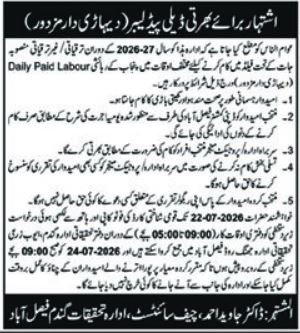 Agriculture Research Institute Faisalabad Jobs 2026 — original advertisement