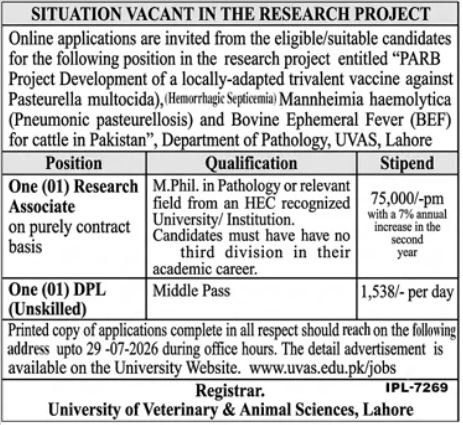 University Of Veterinary & Animal Sciences Lahore Jobs 2026 — original advertisement