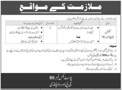 Government Organization Rawalpindi Job 2026 — original advertisement