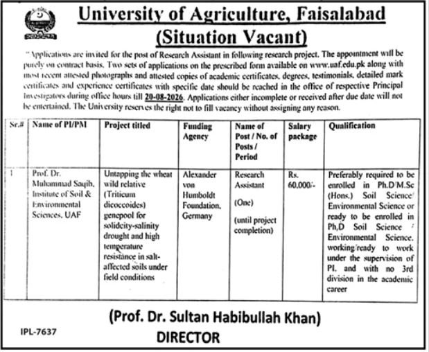 UAF University Of Agriculture Faisalabad Jobs 2026 — original advertisement