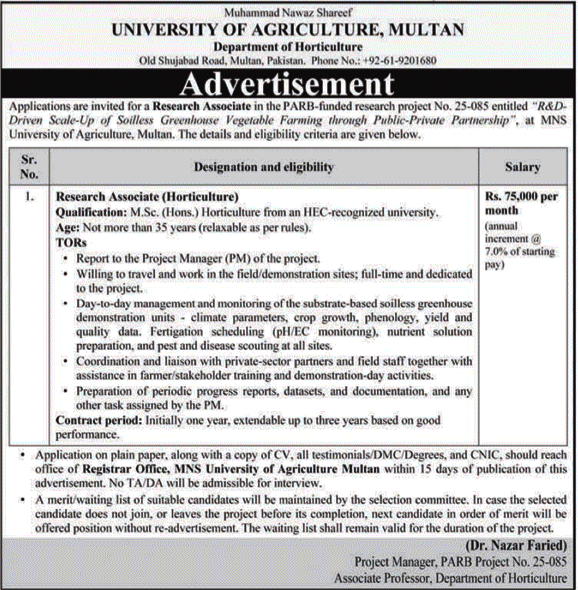 MNS University Of Agriculture Jobs 2026 — original advertisement